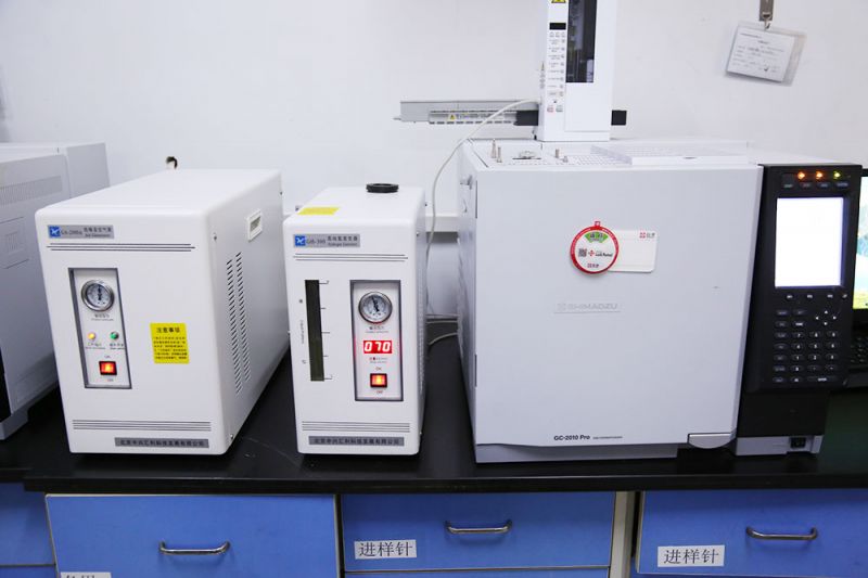 gas chromatograph